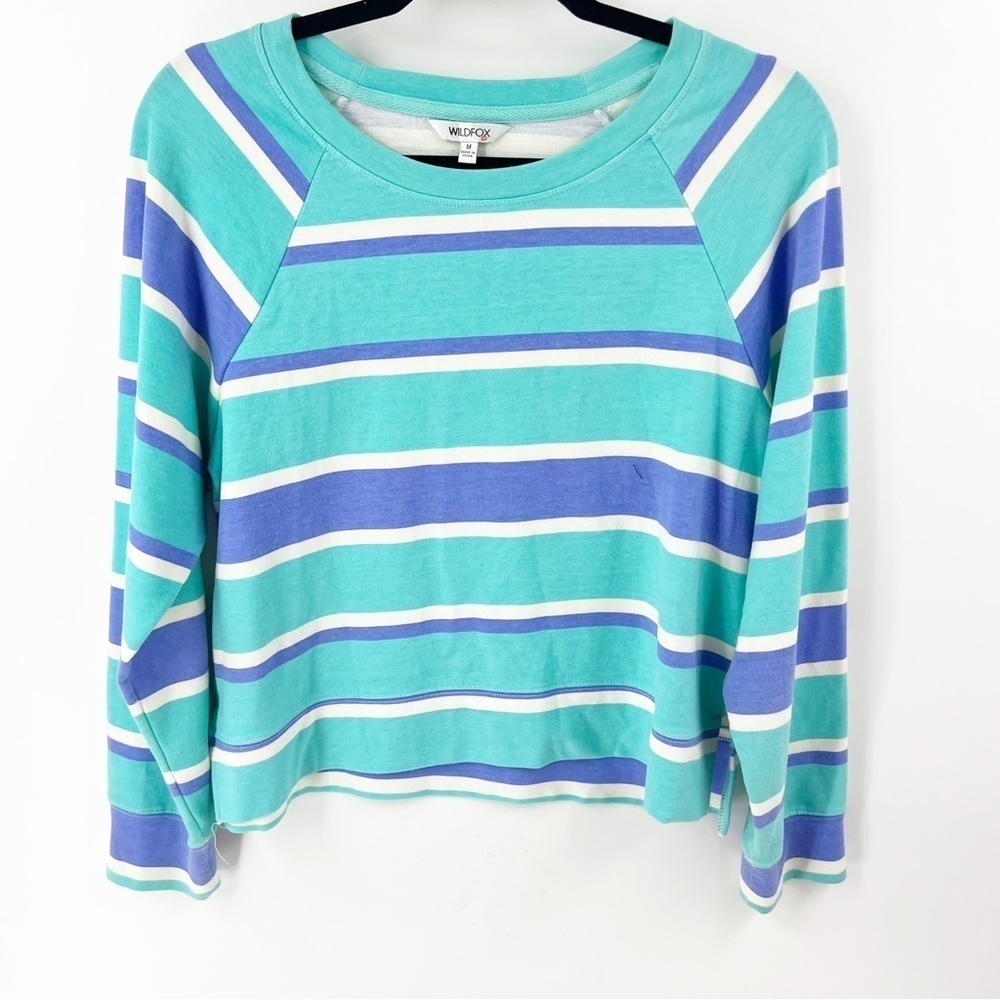 ✅ Wildfox‎ Sweatshirt Soft Blue Stripe Size MEDIUM  BLUE/TEAL